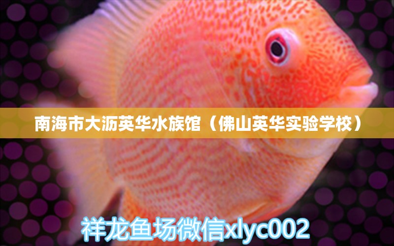 南海市大瀝英華水族館（佛山英華實(shí)驗(yàn)學(xué)校）