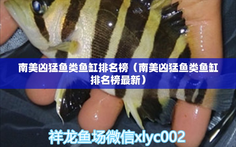 南美兇猛魚類魚缸排名榜（南美兇猛魚類魚缸排名榜最新） 祥龍水族醫(yī)院