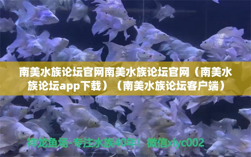 南美水族論壇官網(wǎng)南美水族論壇官網(wǎng)（南美水族論壇app下載）（南美水族論壇客戶端）