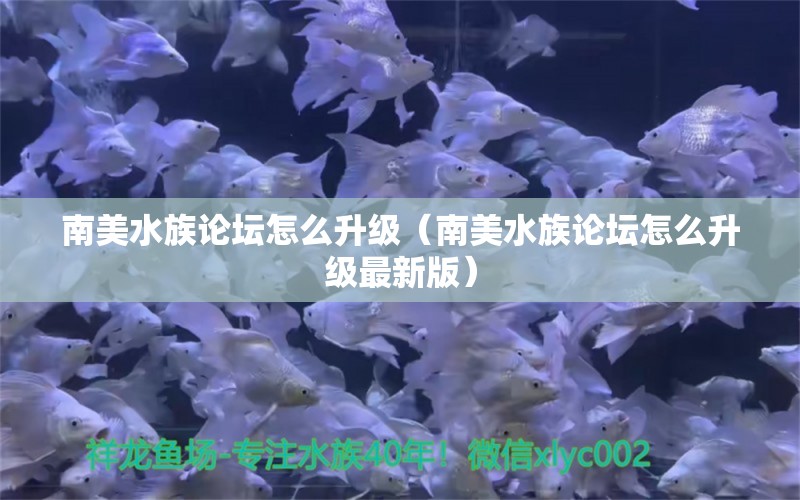 南美水族論壇怎么升級（南美水族論壇怎么升級最新版）