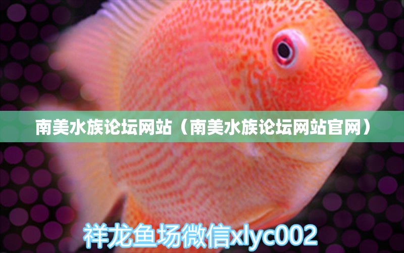 南美水族論壇網(wǎng)站（南美水族論壇網(wǎng)站官網(wǎng)）