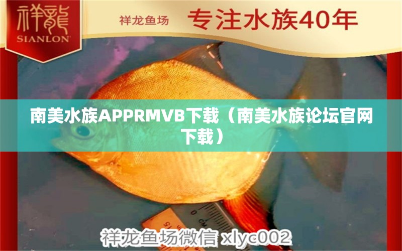 南美水族APPRMVB下載（南美水族論壇官網(wǎng)下載） 玫瑰銀版魚