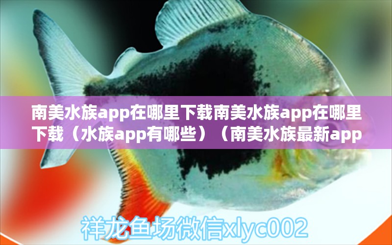 南美水族app在哪里下載南美水族app在哪里下載（水族app有哪些）（南美水族最新app）