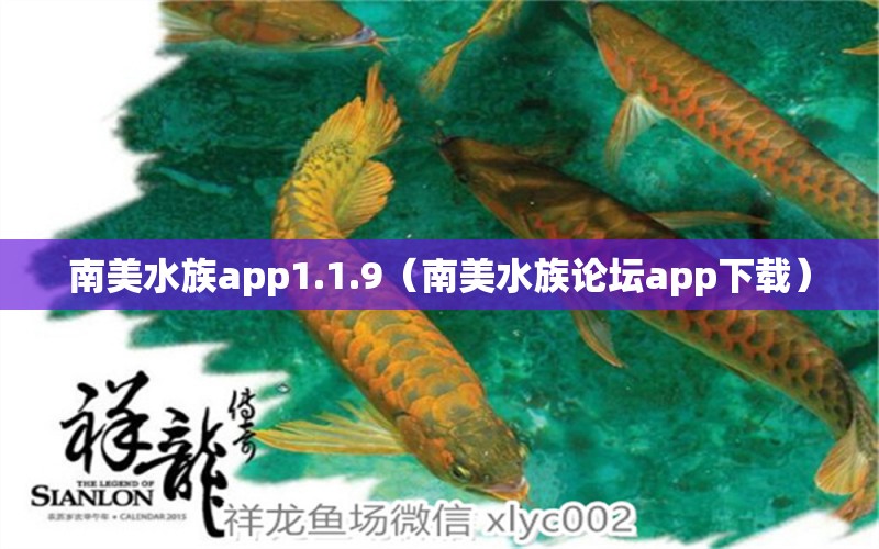 南美水族app1.1.9（南美水族論壇app下載）