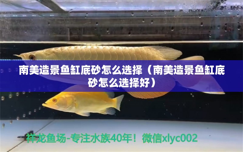 南美造景魚缸底砂怎么選擇（南美造景魚缸底砂怎么選擇好）