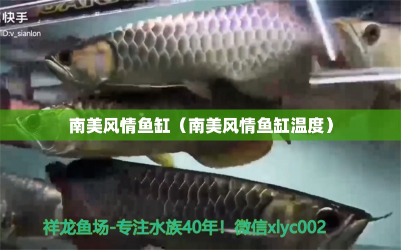 南美風(fēng)情魚缸（南美風(fēng)情魚缸溫度） 祥龍魚場