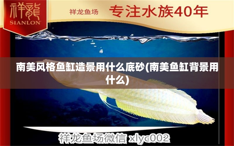 南美風格魚缸造景用什么底砂(南美魚缸背景用什么) 紅龍魚魚糧飼料