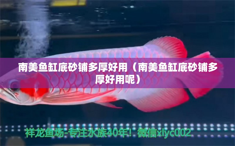 南美魚缸底砂鋪多厚好用（南美魚缸底砂鋪多厚好用呢）