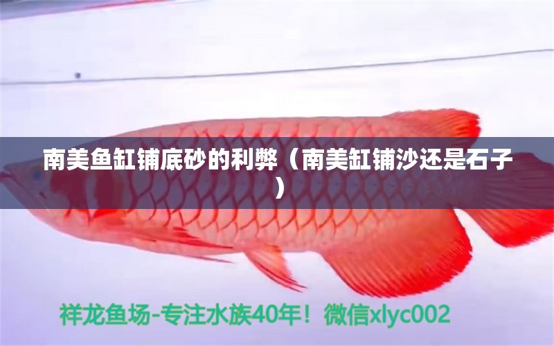 南美魚缸鋪底砂的利弊（南美缸鋪沙還是石子） 魚缸/水族箱