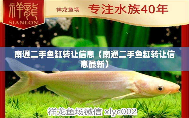 南通二手魚缸轉讓信息（南通二手魚缸轉讓信息最新） 祥龍水族醫(yī)院