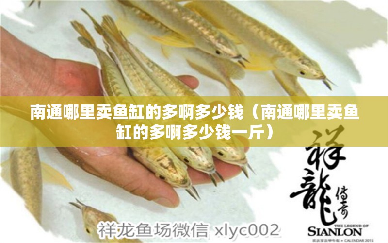 南通哪里賣魚缸的多啊多少錢（南通哪里賣魚缸的多啊多少錢一斤）