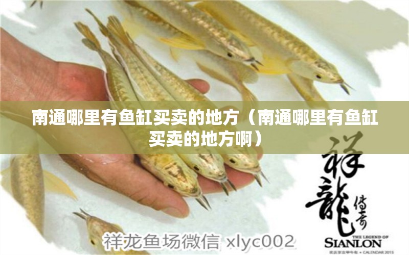 南通哪里有魚缸買賣的地方（南通哪里有魚缸買賣的地方?。? title=