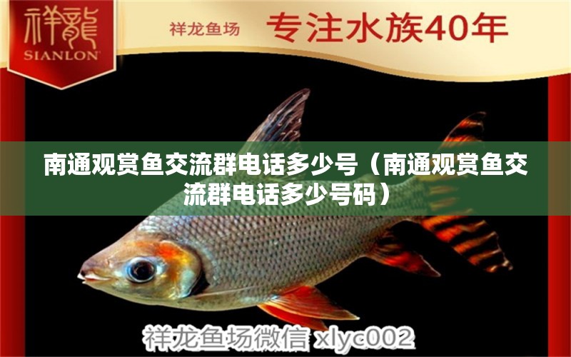 南通觀(guān)賞魚(yú)交流群電話(huà)多少號(hào)（南通觀(guān)賞魚(yú)交流群電話(huà)多少號(hào)碼）