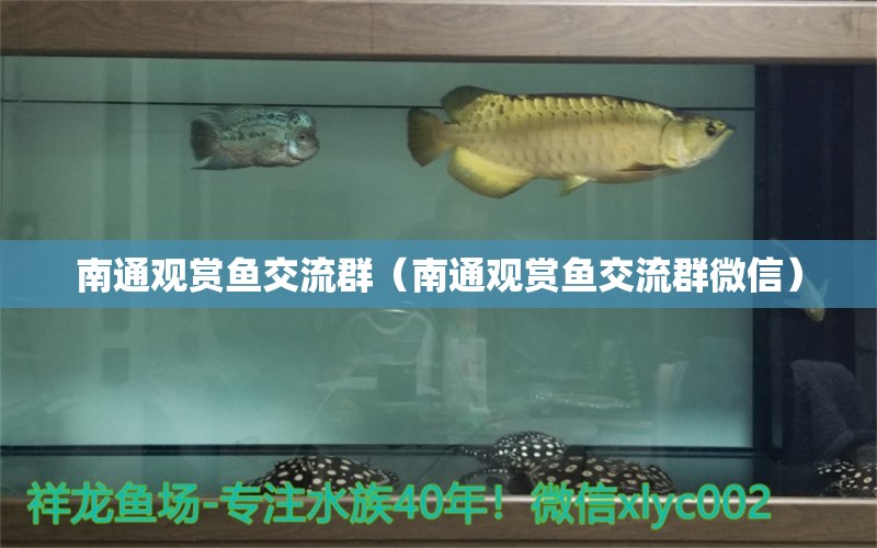 南通觀賞魚交流群（南通觀賞魚交流群微信）