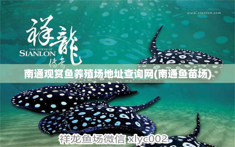 南通觀賞魚養(yǎng)殖場地址查詢網(wǎng)(南通魚苗場) 水族雜談