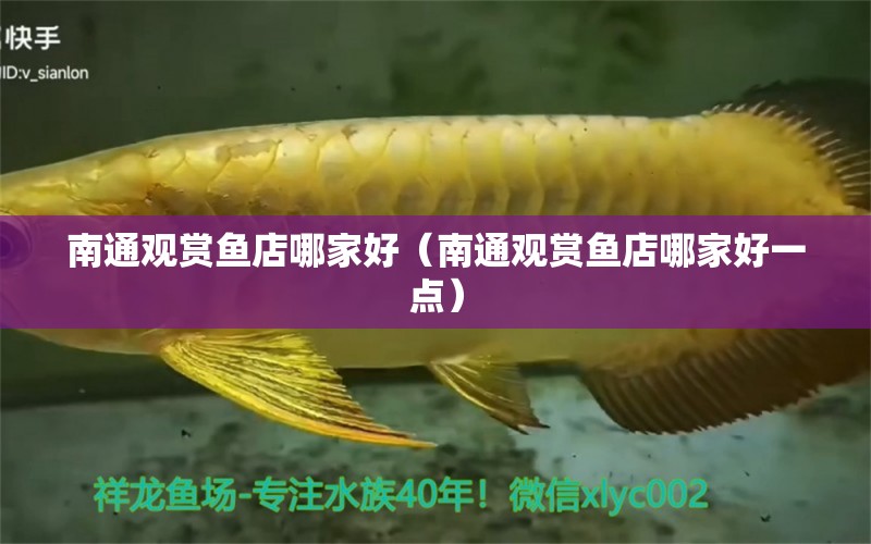 南通觀賞魚店哪家好（南通觀賞魚店哪家好一點(diǎn)）