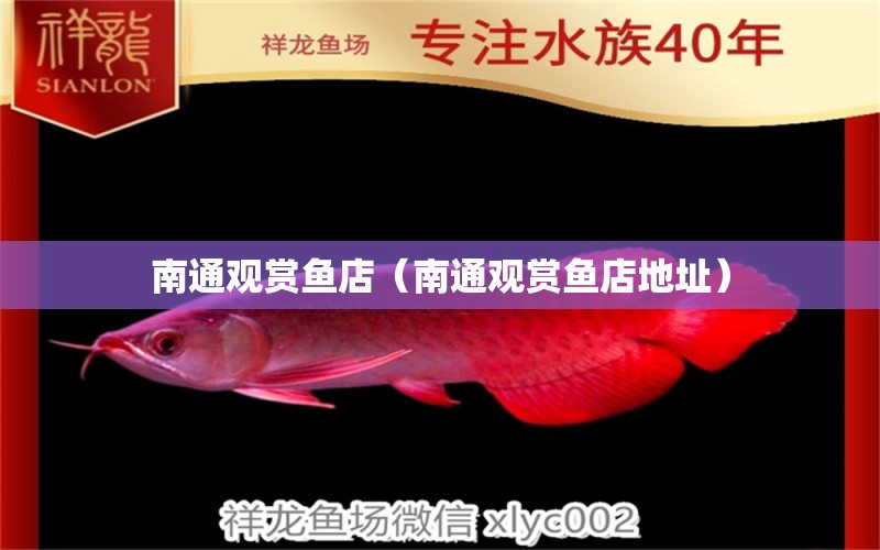 南通觀賞魚(yú)店（南通觀賞魚(yú)店地址） 觀賞魚(yú)市場(chǎng)