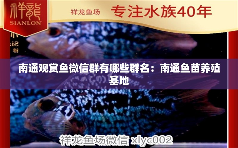 南通觀賞魚(yú)微信群有哪些群名：南通魚(yú)苗養(yǎng)殖基地