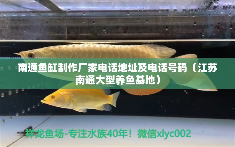 南通魚缸制作廠家電話地址及電話號(hào)碼（江蘇南通大型養(yǎng)魚基地）