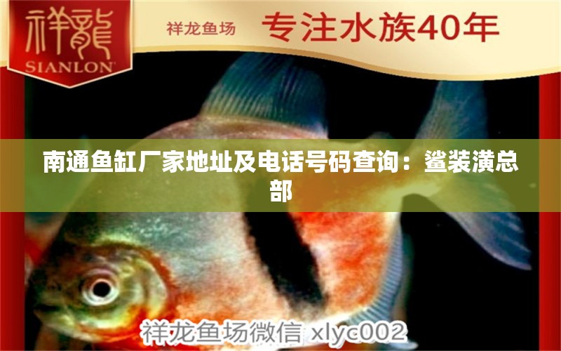 南通魚(yú)缸廠家地址及電話(huà)號(hào)碼查詢(xún)：鯊裝潢總部 觀賞魚(yú)市場(chǎng) 第3張