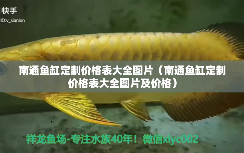 南通魚缸定制價(jià)格表大全圖片（南通魚缸定制價(jià)格表大全圖片及價(jià)格） 白子黃化銀龍魚