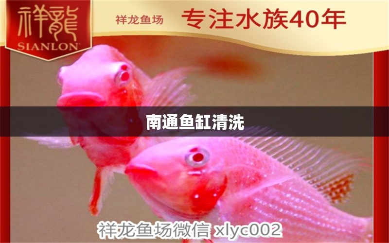 南通魚缸清洗 其他品牌魚缸