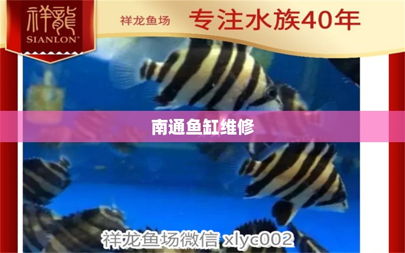 南通魚缸維修 其他品牌魚缸