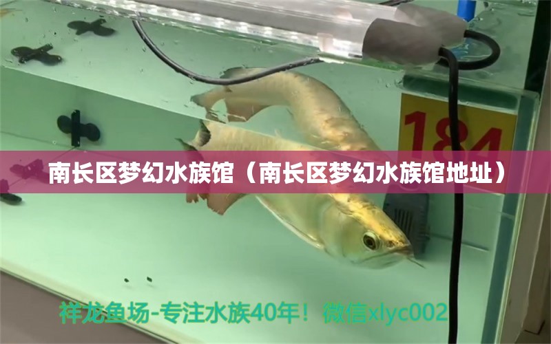 南長區(qū)夢幻水族館（南長區(qū)夢幻水族館地址）