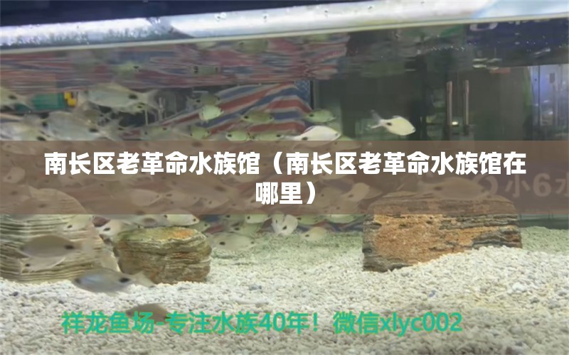 南長區(qū)老革命水族館（南長區(qū)老革命水族館在哪里）