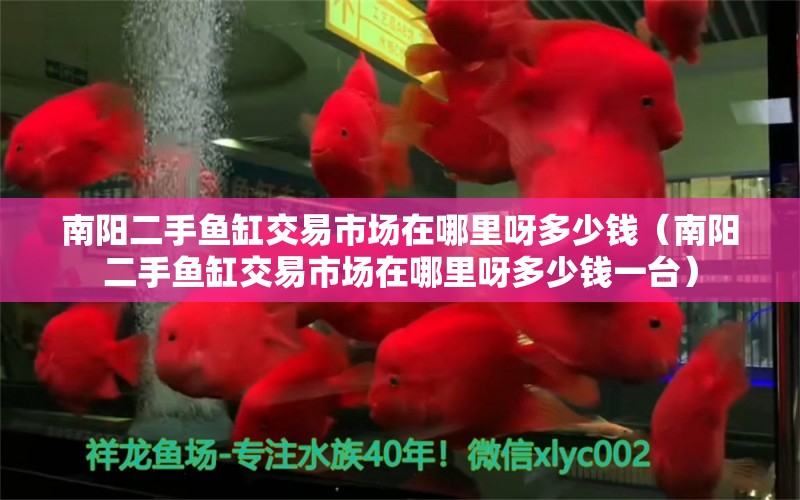 南陽二手魚缸交易市場在哪里呀多少錢（南陽二手魚缸交易市場在哪里呀多少錢一臺）