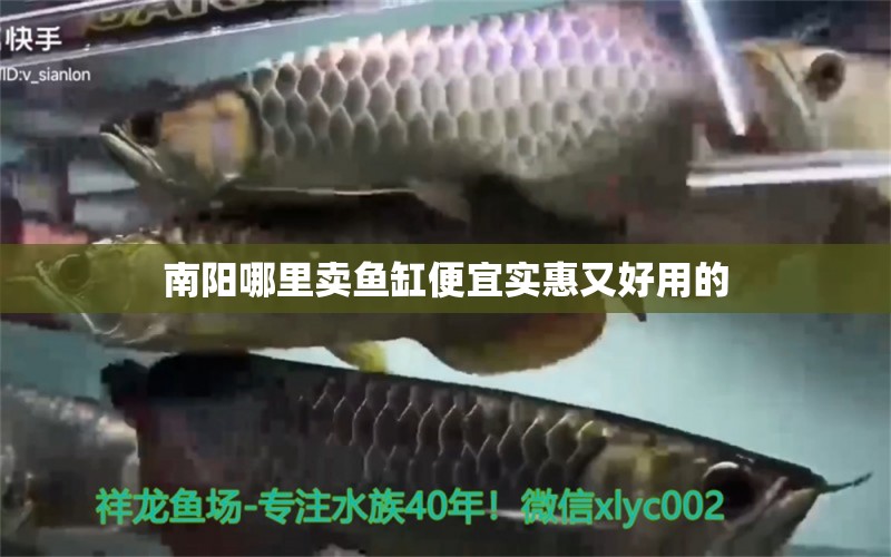 南陽哪里賣魚缸便宜實惠又好用的