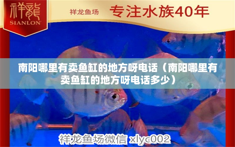 南陽(yáng)哪里有賣魚缸的地方呀電話（南陽(yáng)哪里有賣魚缸的地方呀電話多少） 量子養(yǎng)魚技術(shù)