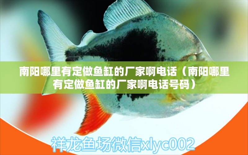 南陽(yáng)哪里有定做魚(yú)缸的廠家啊電話（南陽(yáng)哪里有定做魚(yú)缸的廠家啊電話號(hào)碼）