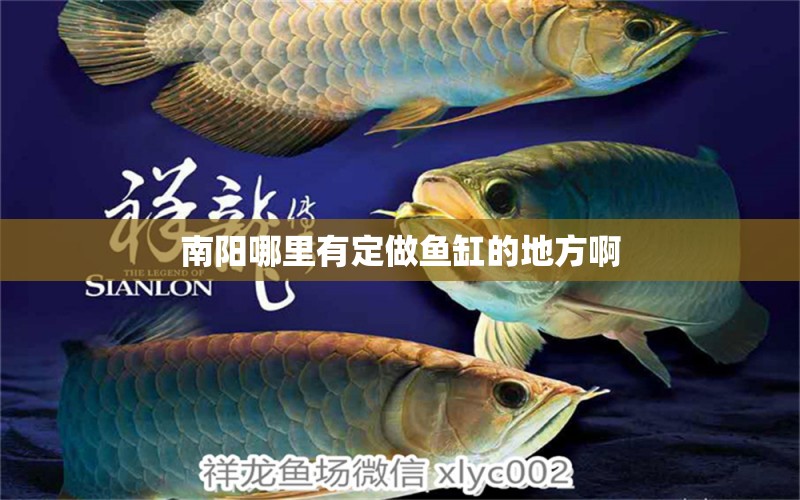 南陽哪里有定做魚缸的地方啊