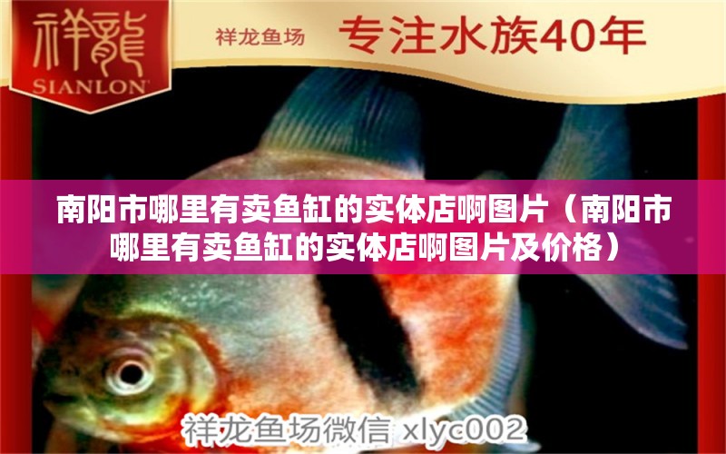 南陽(yáng)市哪里有賣魚缸的實(shí)體店啊圖片（南陽(yáng)市哪里有賣魚缸的實(shí)體店啊圖片及價(jià)格）