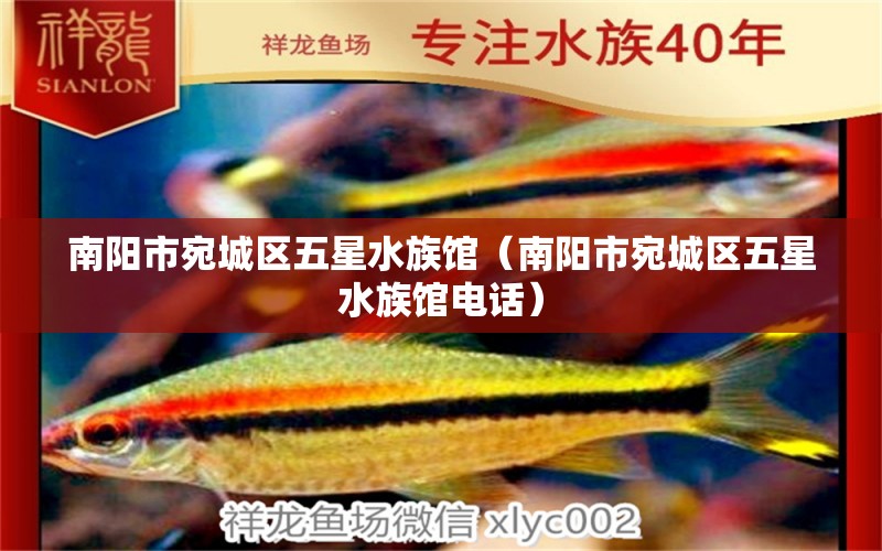 南陽(yáng)市宛城區(qū)五星水族館（南陽(yáng)市宛城區(qū)五星水族館電話）