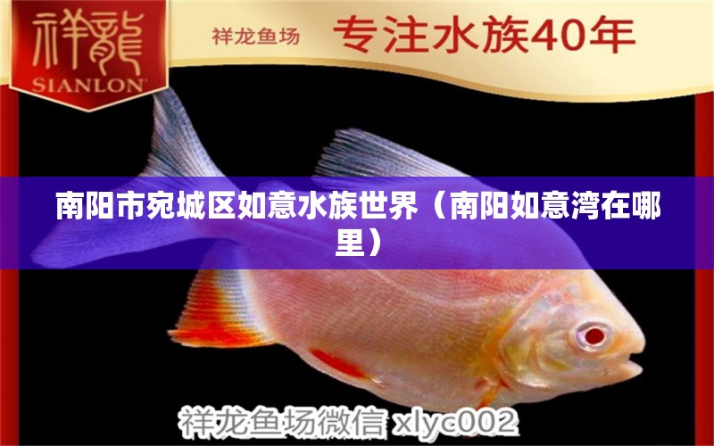 南陽(yáng)市宛城區(qū)如意水族世界（南陽(yáng)如意灣在哪里） 全國(guó)水族館企業(yè)名錄