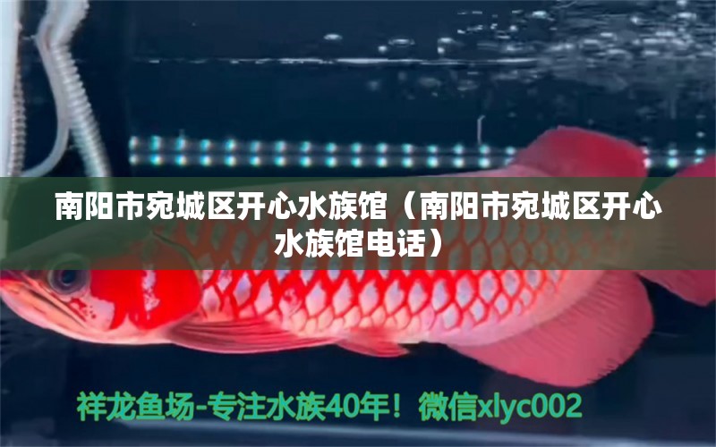 南陽市宛城區(qū)開心水族館（南陽市宛城區(qū)開心水族館電話）