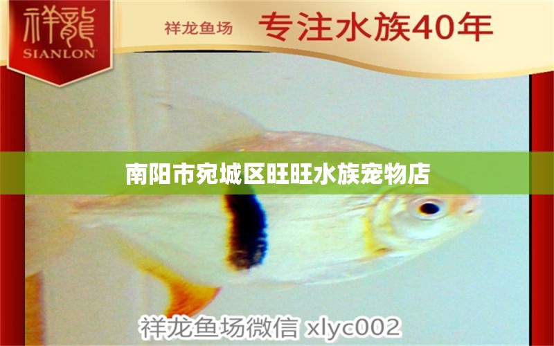 南陽市宛城區(qū)旺旺水族寵物店 全國水族館企業(yè)名錄