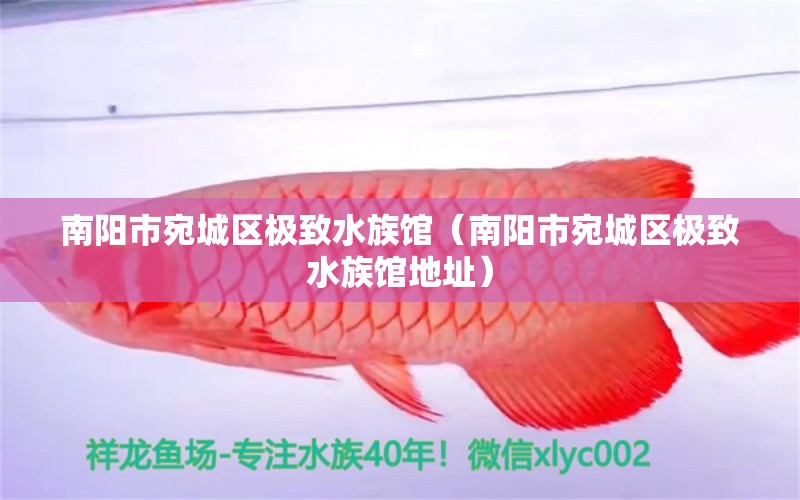 南陽市宛城區(qū)極致水族館（南陽市宛城區(qū)極致水族館地址）