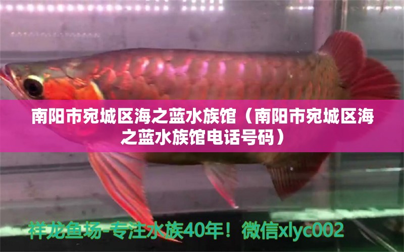 南陽市宛城區(qū)海之藍水族館（南陽市宛城區(qū)海之藍水族館電話號碼）