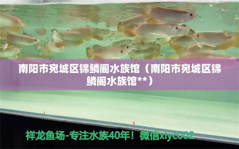 南陽市宛城區(qū)錦鱗閣水族館（南陽市宛城區(qū)錦鱗閣水族館**） 全國水族館企業(yè)名錄