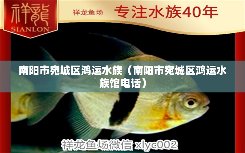 南陽市宛城區(qū)鴻運(yùn)水族（南陽市宛城區(qū)鴻運(yùn)水族館電話） 全國水族館企業(yè)名錄