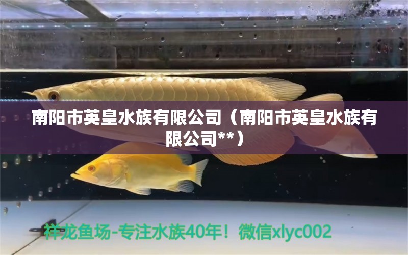 南陽市英皇水族有限公司（南陽市英皇水族有限公司**）