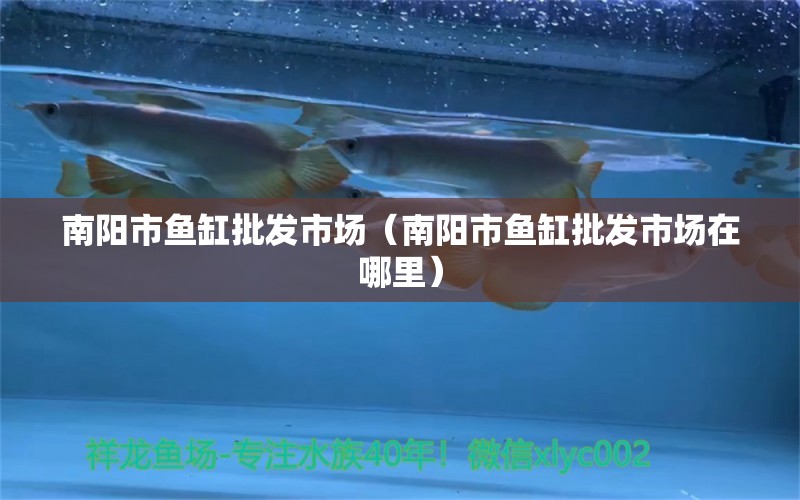 南陽市魚缸批發(fā)市場（南陽市魚缸批發(fā)市場在哪里） 其他品牌魚缸