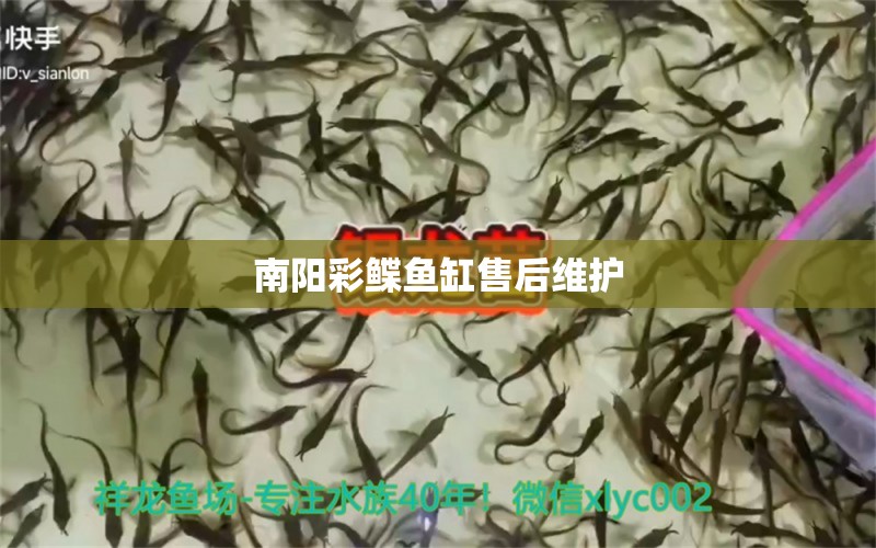 南陽(yáng)彩鰈魚缸售后維護(hù) 彩鰈魚缸（彩蝶魚缸）