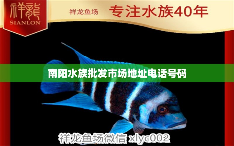 南陽(yáng)水族批發(fā)市場(chǎng)地址電話號(hào)碼