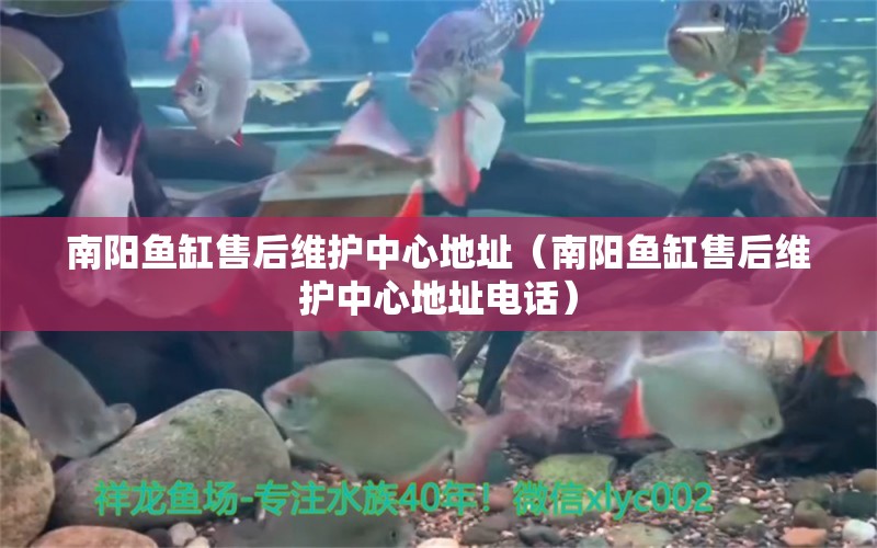 南陽魚缸售后維護中心地址（南陽魚缸售后維護中心地址電話）