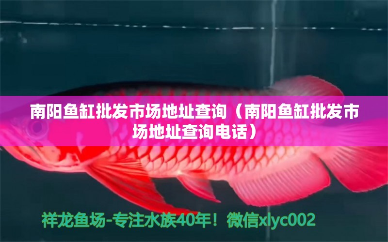 南陽魚缸批發(fā)市場(chǎng)地址查詢（南陽魚缸批發(fā)市場(chǎng)地址查詢電話） 其他品牌魚缸