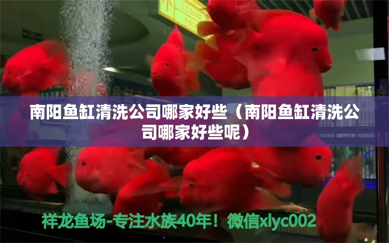 南陽魚缸清洗公司哪家好些（南陽魚缸清洗公司哪家好些呢）